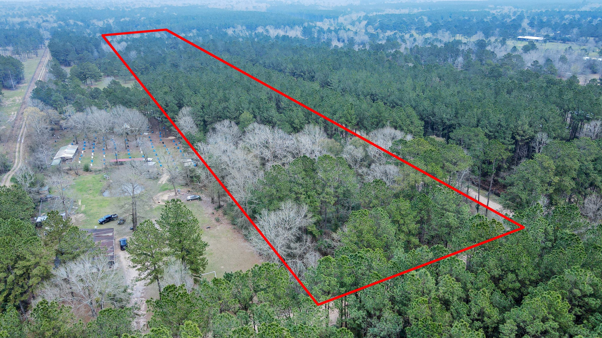 12-acres County Line Road Shepherd, TX 77371 - Photo 26 of 26