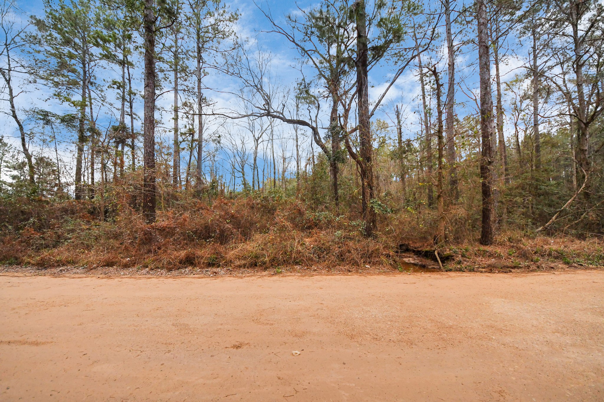 12-acres County Line Road Shepherd, TX 77371 - Photo 3 of 26