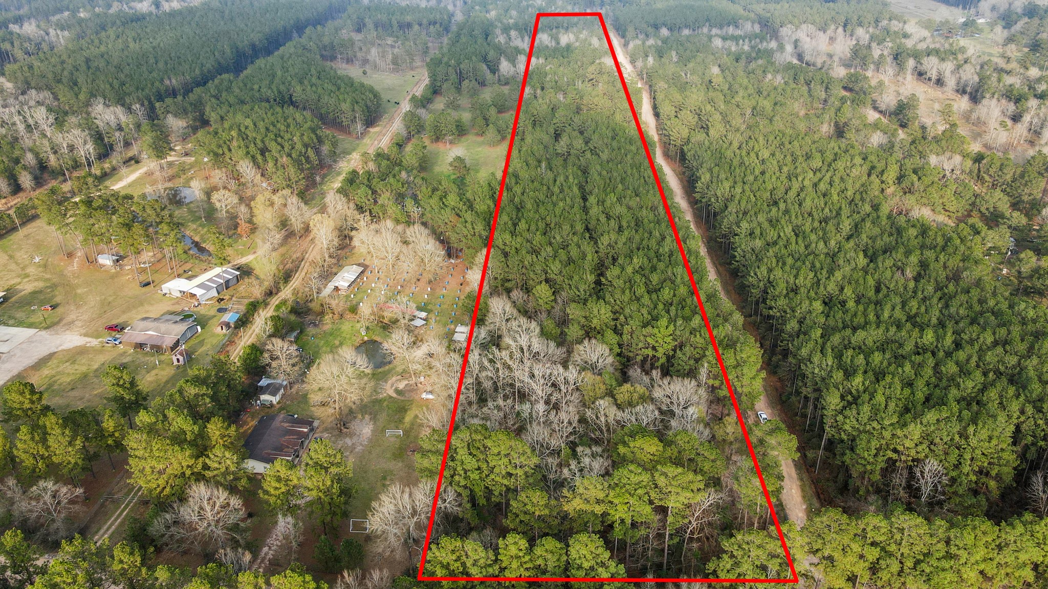 12-acres County Line Road Shepherd, TX 77371 - Photo 6 of 26