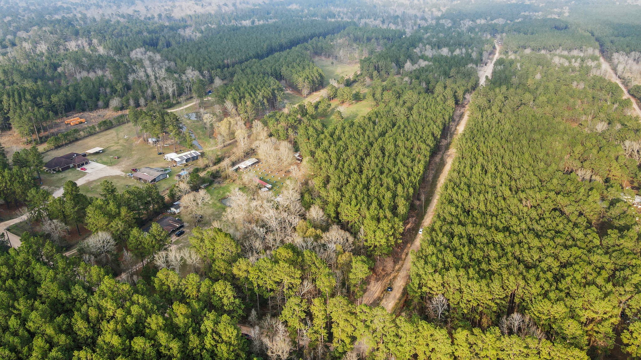 12-acres County Line Road Shepherd, TX 77371 - Photo 7 of 26