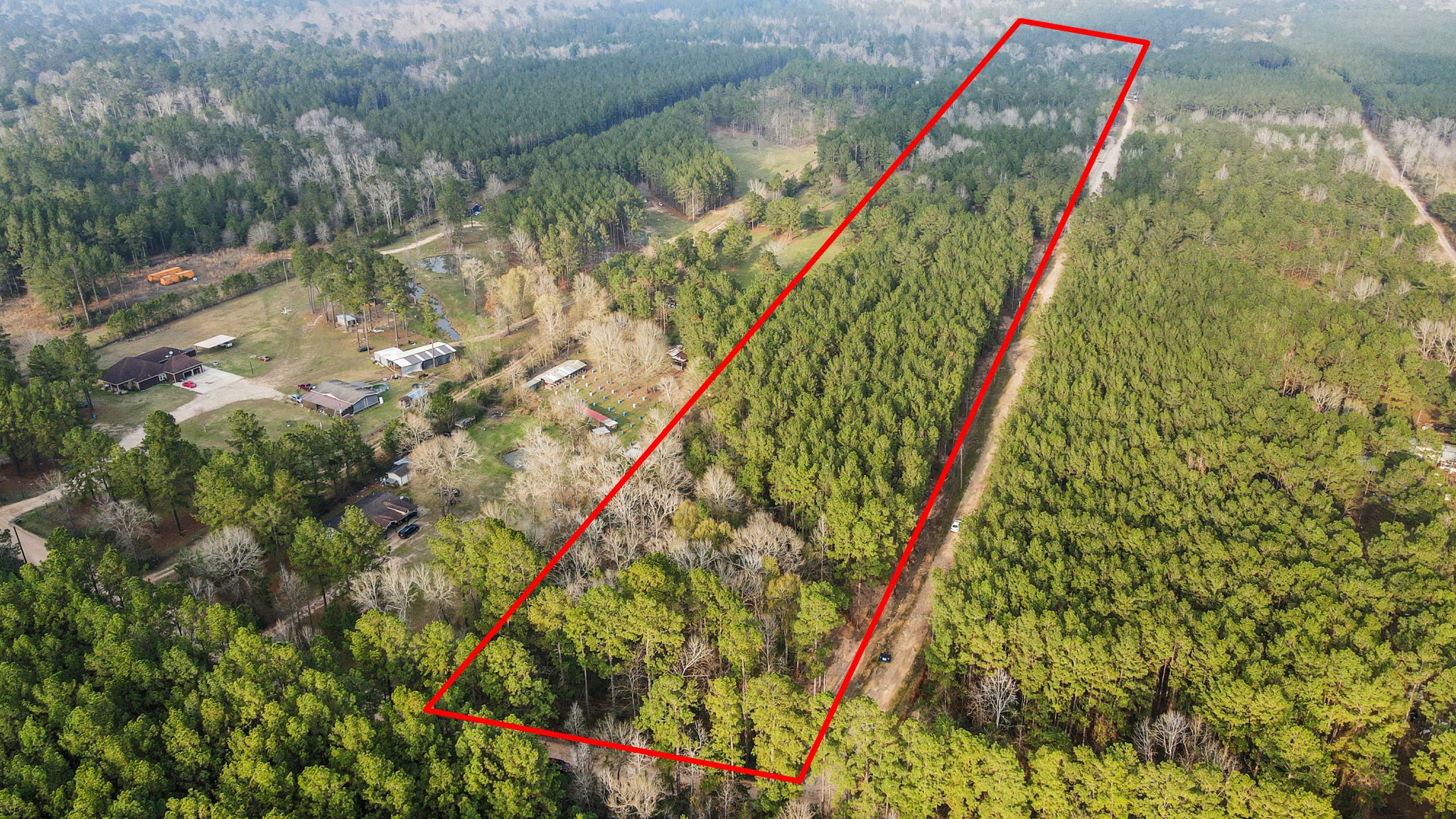 12-acres County Line Road Shepherd, TX 77371 - Photo 8 of 26