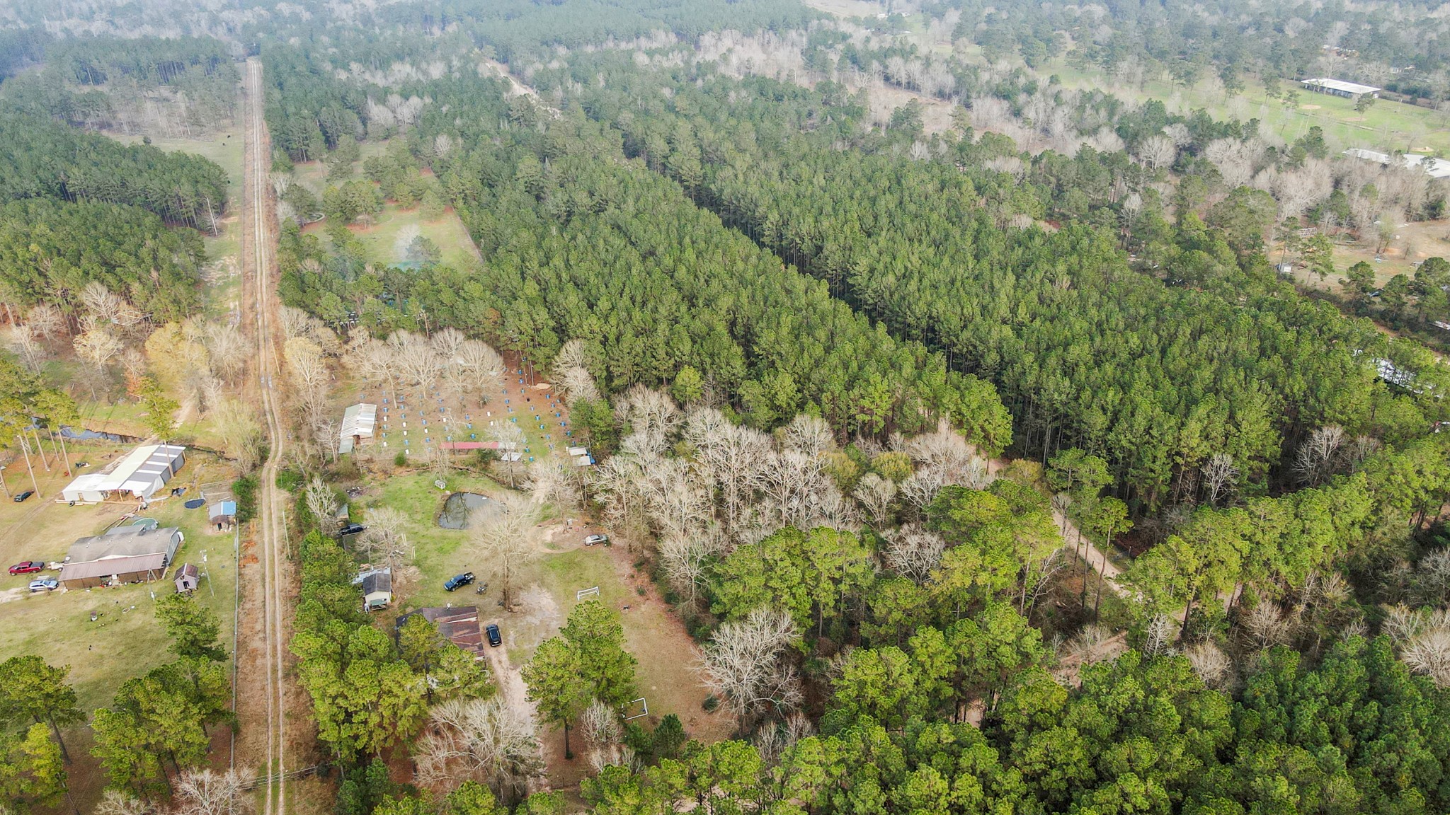 12-acres County Line Road Shepherd, TX 77371 - Photo 9 of 26