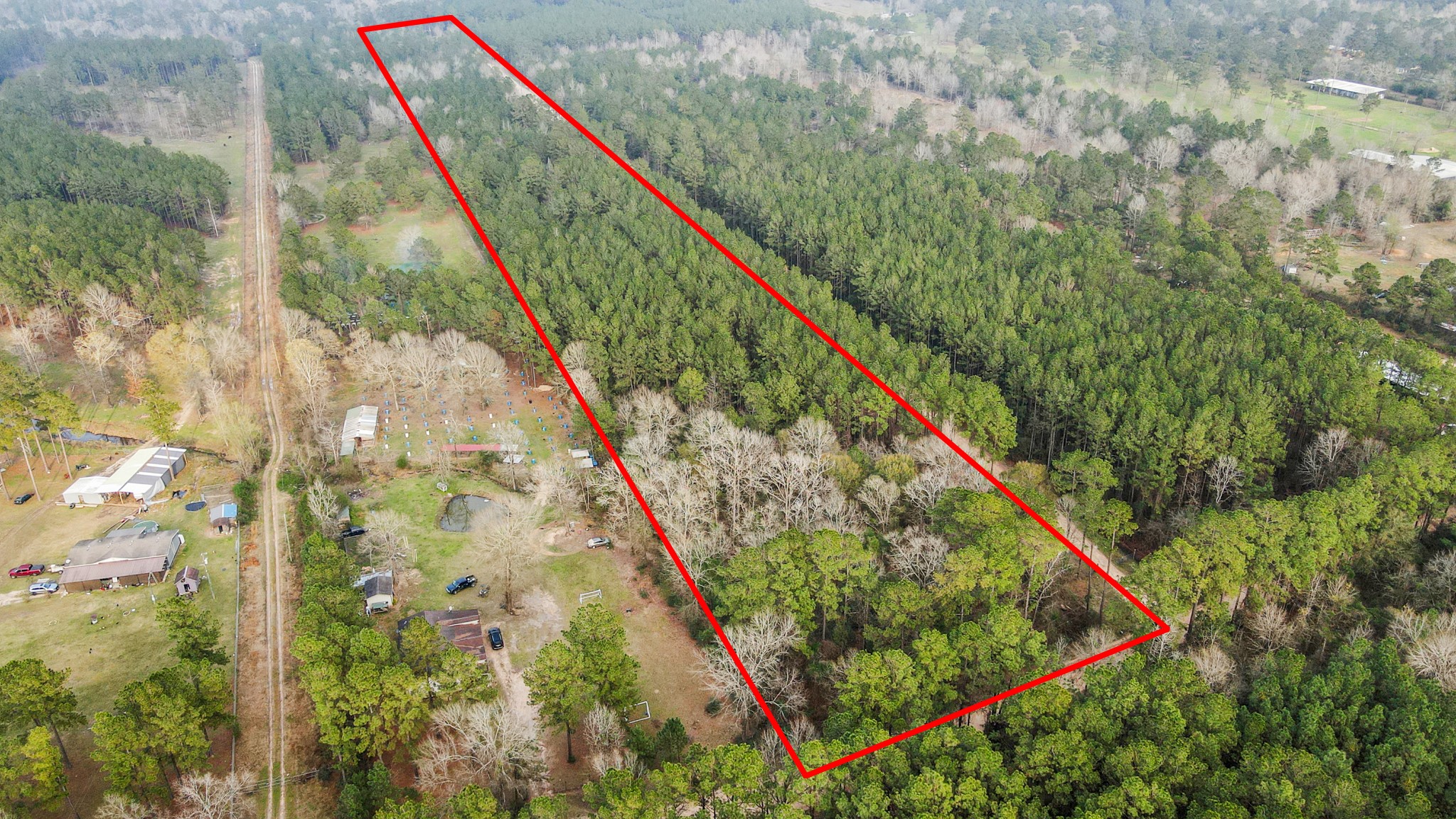 12-acres County Line Road Shepherd, TX 77371 - Photo 10 of 26