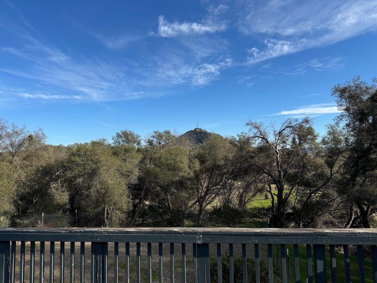 14950 Clinton Road Jackson, CA 95642 - Photo 9 of 50 a view of a trees in a yard