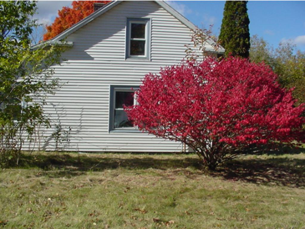 242 Dean Road Pownal, VT 05261 - Photo 3 of 27