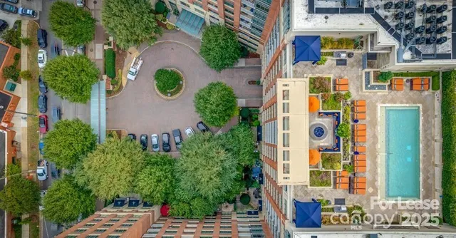 $3,315 | 125 West Tremont Avenue, Unit B2F, Charlotte, NC 28203