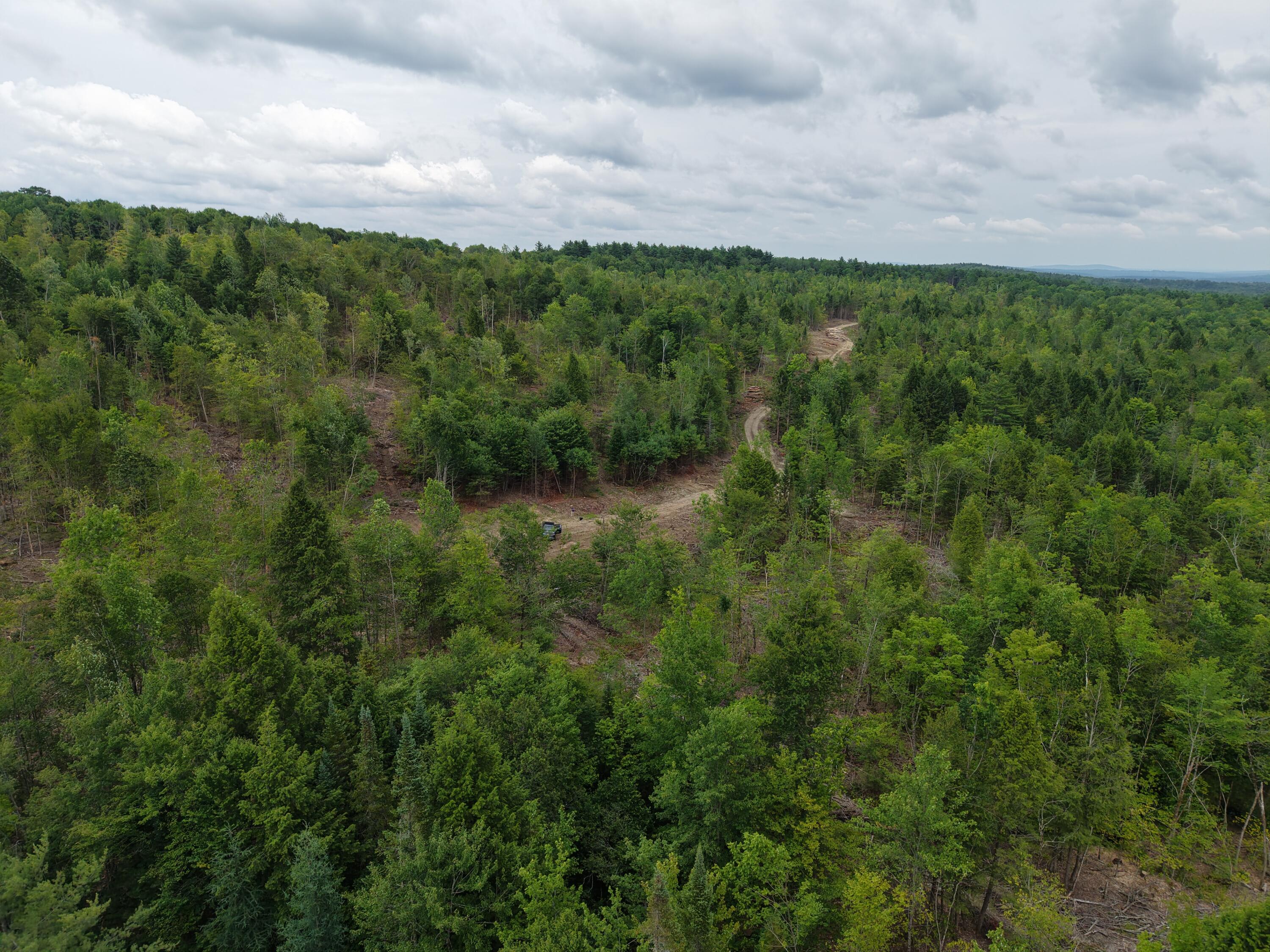 22-03 Rowell Mountain Road Solon, ME 04979 - Photo 52 of 55 Looking back toward logging road & Rowel