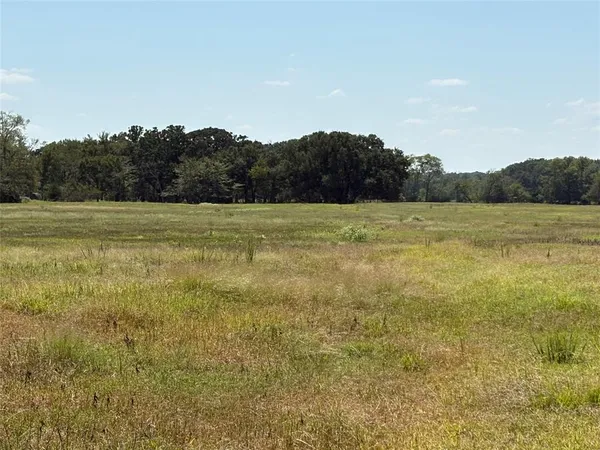 $192,500 | 1 County Road 1168, Unit TRACT 1, Brashear, TX 75420