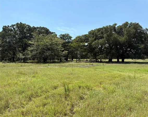 $192,500 | 1 County Road 1168, Unit TRACT 1, Brashear, TX 75420