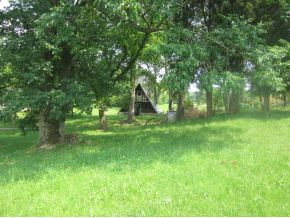 0 Beck Road Piney Flats, TN 37686 - Photo 5 of 13 Photo 5