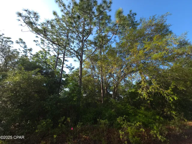 $65,000 | 0 Payne Lake Road, Chipley, FL 32428