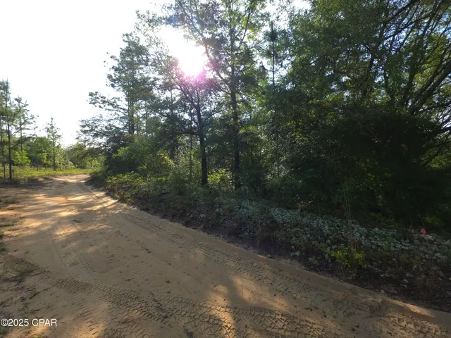 $65,000 | 0 Payne Lake Road, Chipley, FL 32428