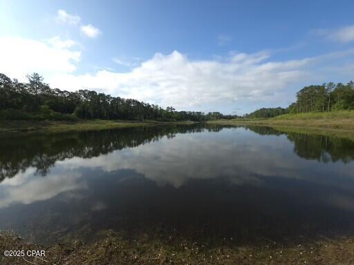 0 Payne Lake Road Chipley, FL 32428 - Photo 3 of 13