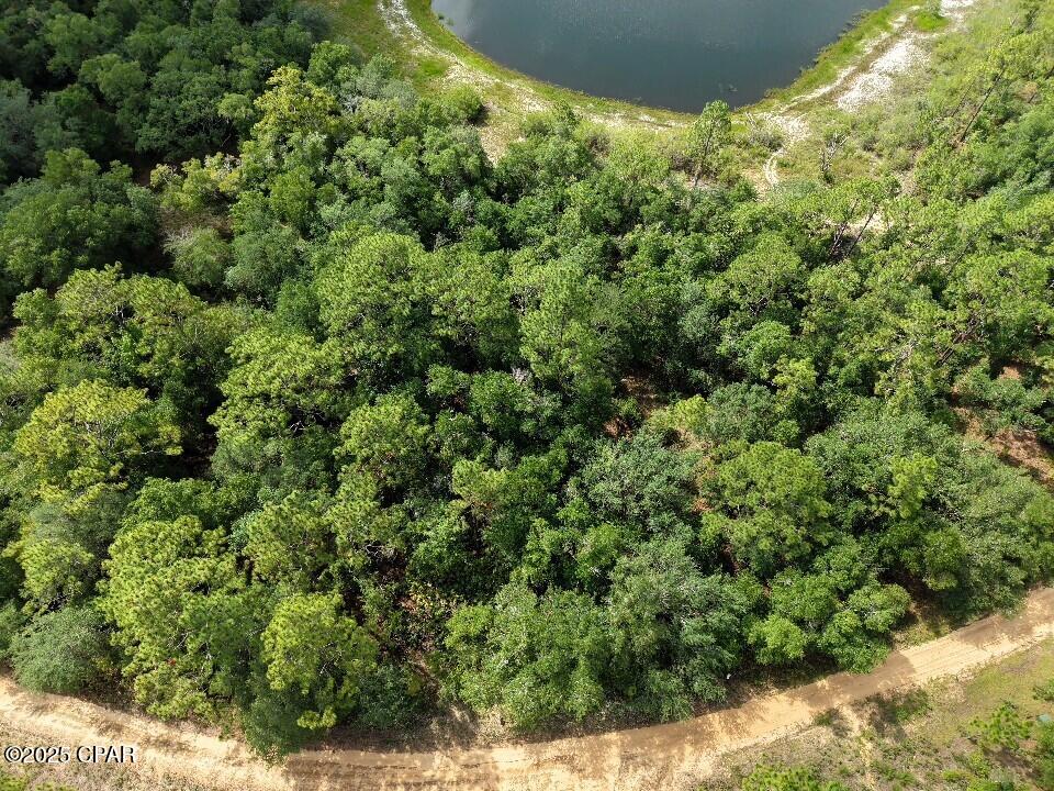 0 Payne Lake Road Chipley, FL 32428 - Photo 4 of 13
