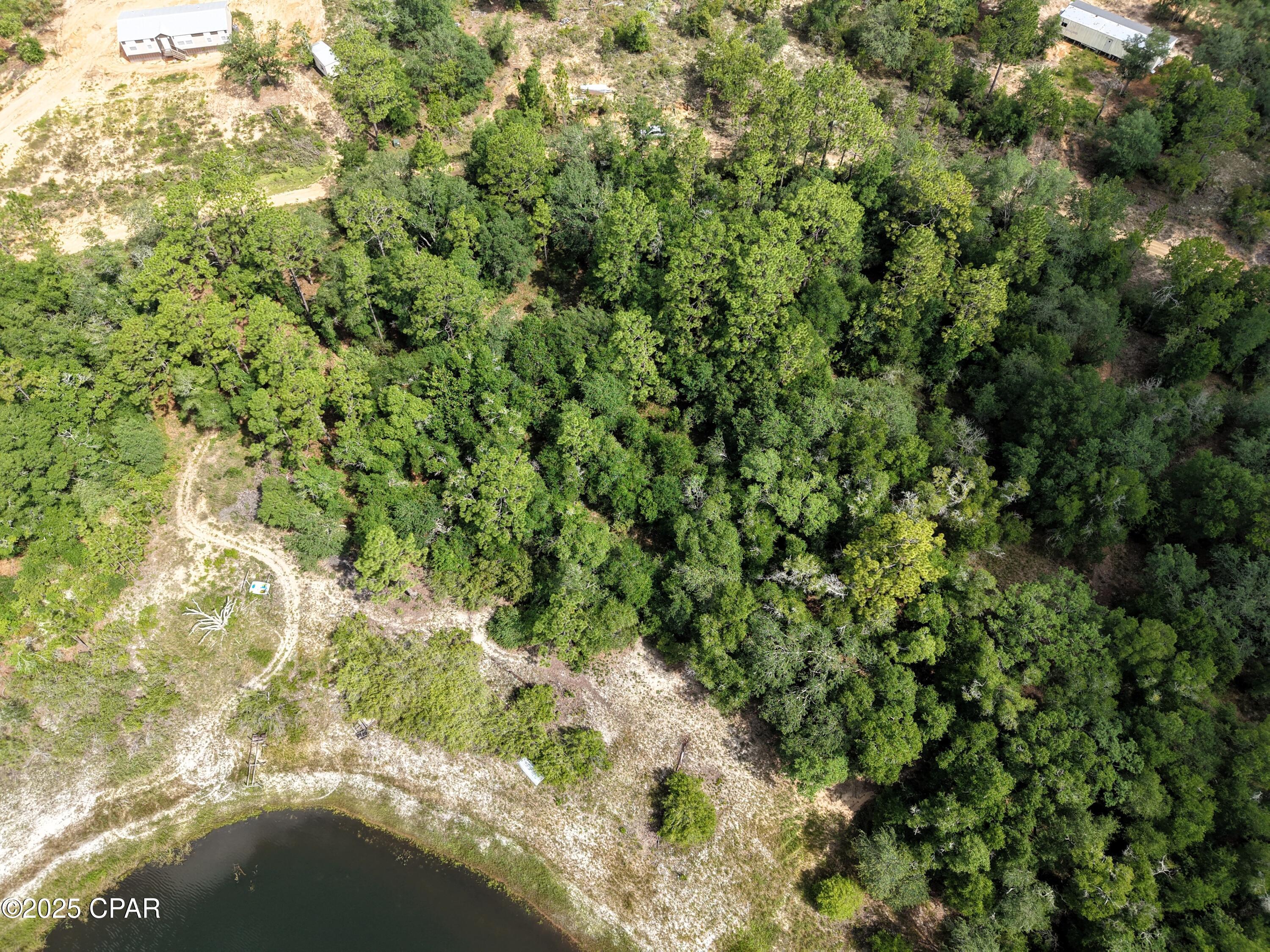 0 Payne Lake Road Chipley, FL 32428 - Photo 5 of 13