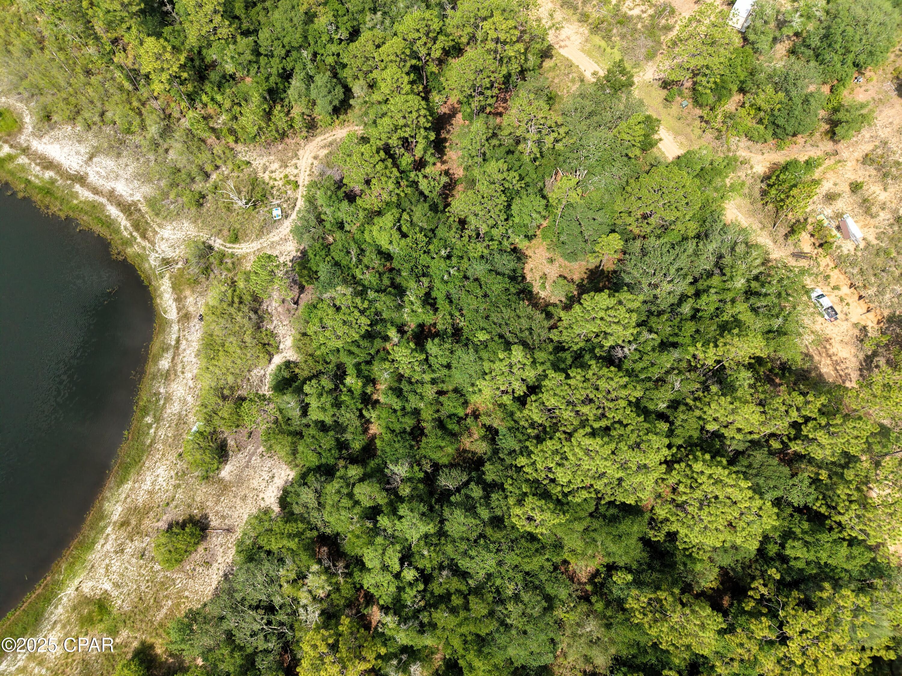 0 Payne Lake Road Chipley, FL 32428 - Photo 6 of 13