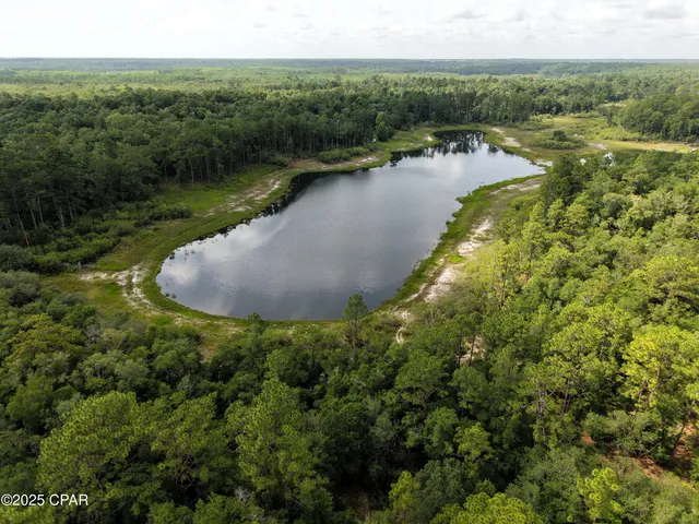 $65,000 | 0 Payne Lake Road, Chipley, FL 32428