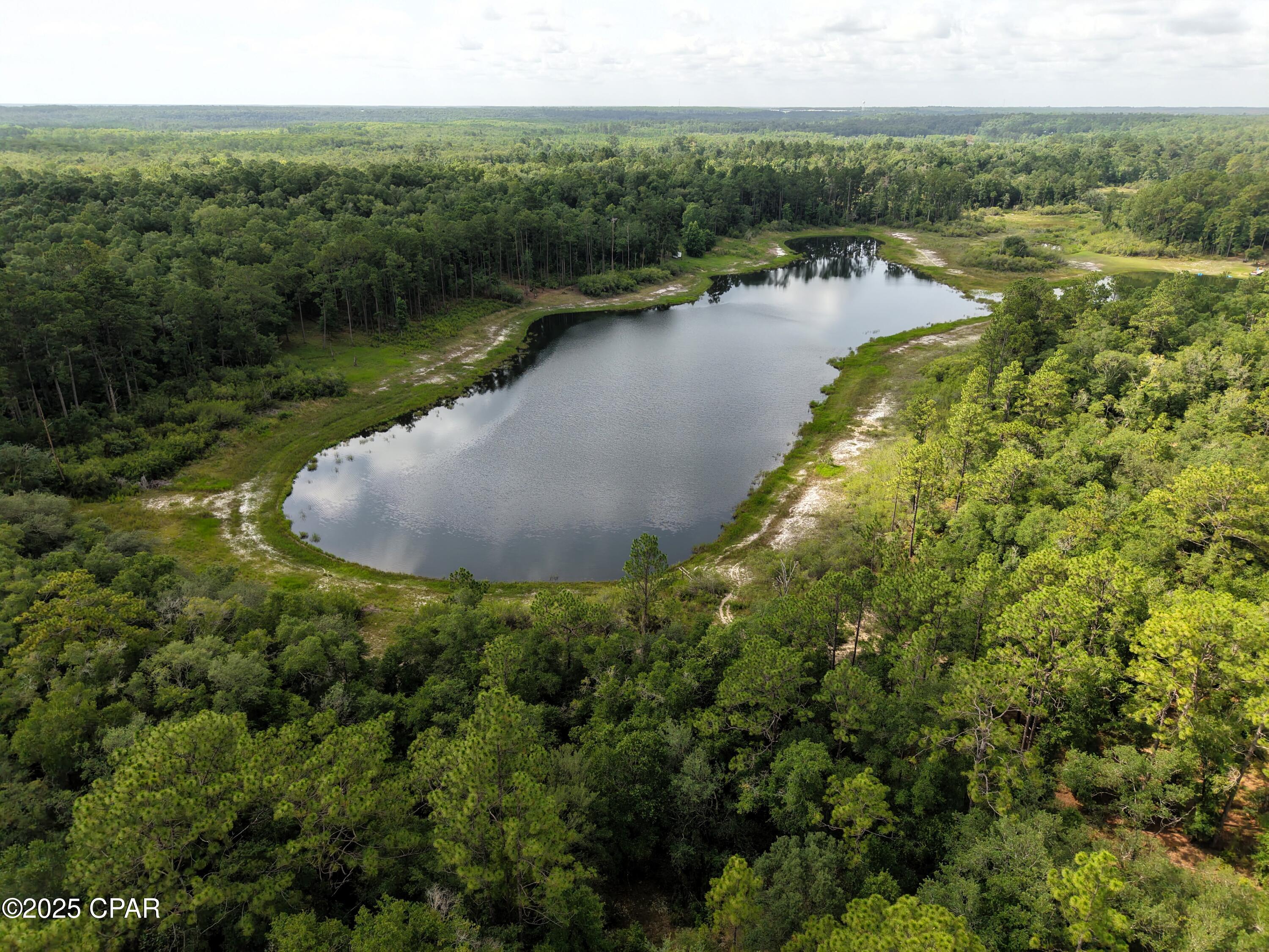 0 Payne Lake Road Chipley, FL 32428 - Photo 7 of 13