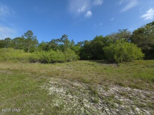 0 Payne Lake Road Chipley, FL 32428 - Photo 8 of 13
