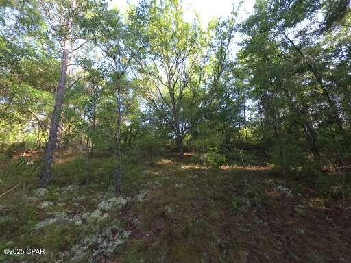0 Payne Lake Road Chipley, FL 32428 - Photo 9 of 13