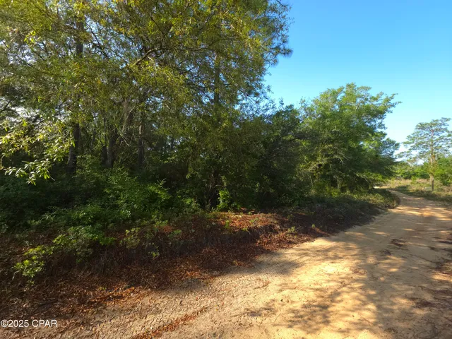 $65,000 | 0 Payne Lake Road, Chipley, FL 32428