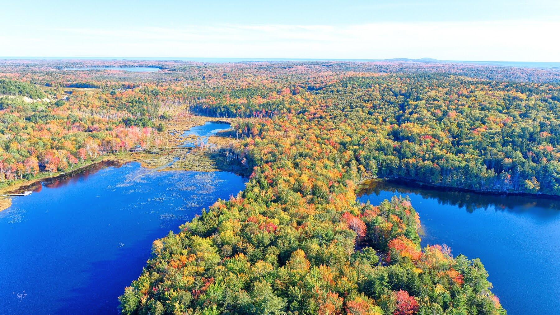 0 McMahon Road Gouldsboro, ME 04607 - Photo 13 of 15 Peninsula to back acreage