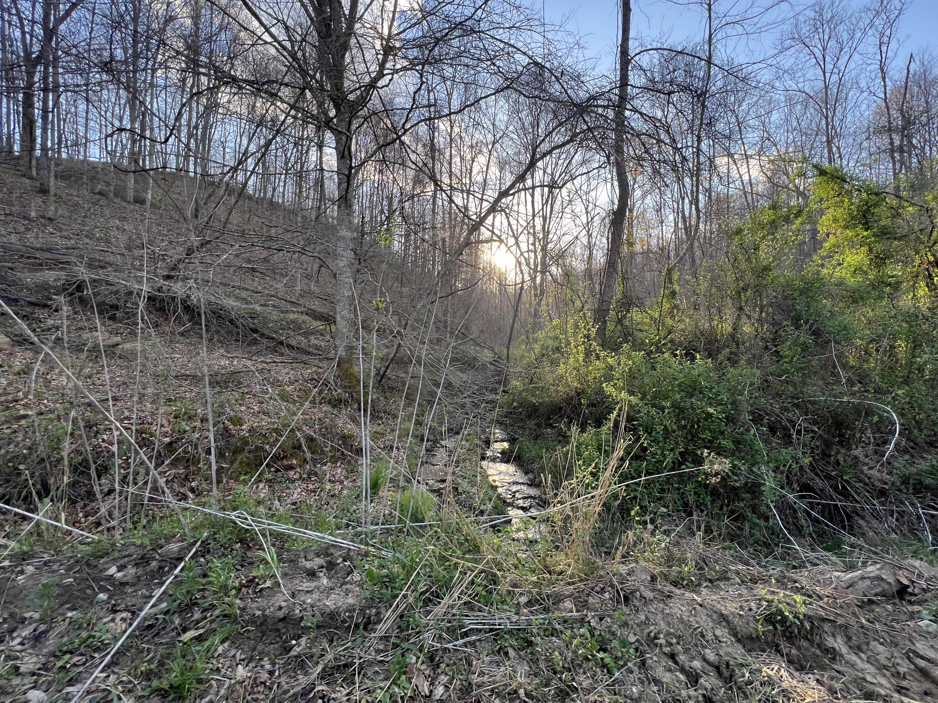 2000 Tbd Stamper Branch Campton, KY 41301 - Photo 39 of 47 Photo Apr 15, 6 49 56 PM