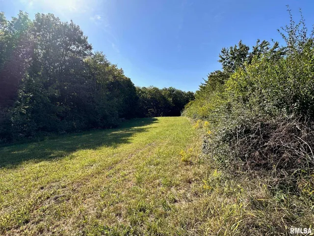 $525,000 | 1889 St Pauls Church Road, Chapin, IL 62628