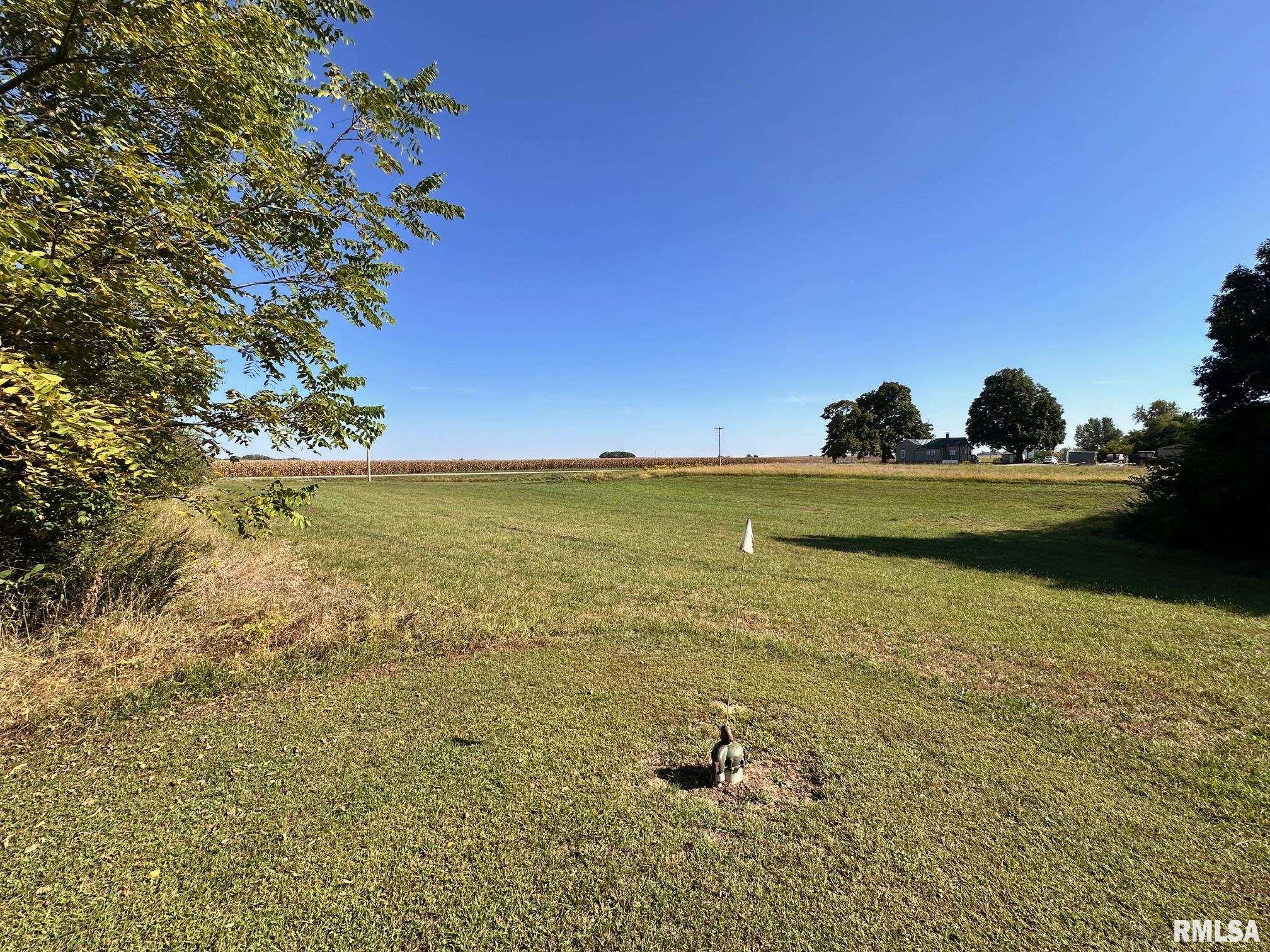 1889 St Pauls Church Road Chapin, IL 62628 - Photo 40 of 44