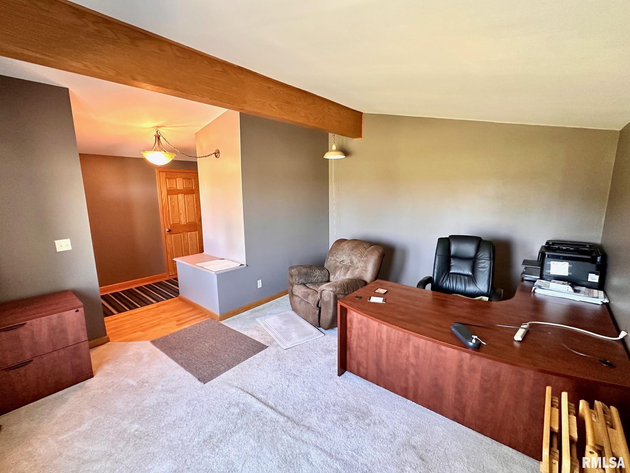 1889 St Pauls Church Road Chapin, IL 62628 - Photo 4 of 44