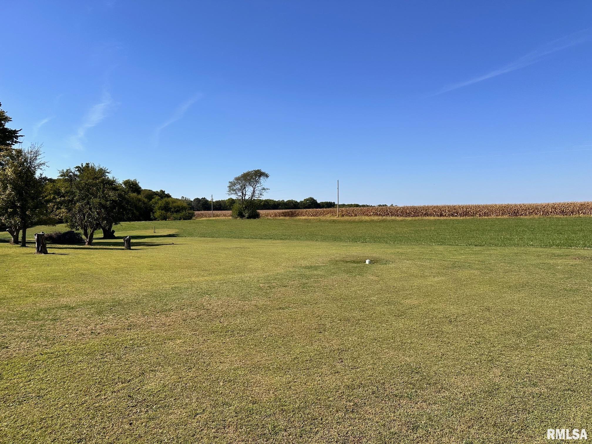 1889 St Pauls Church Road Chapin, IL 62628 - Photo 41 of 44