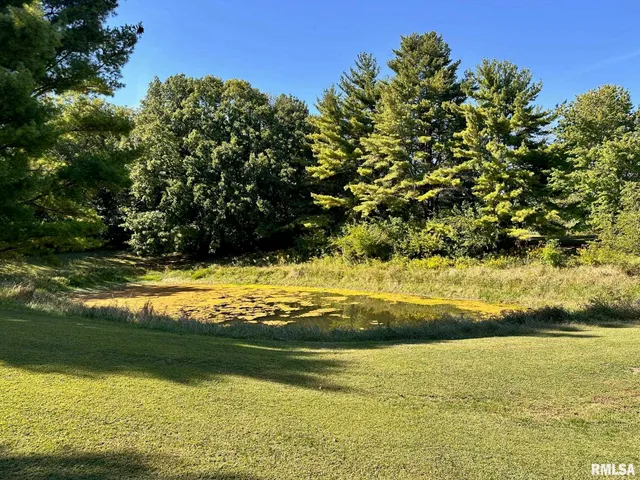 $525,000 | 1889 St Pauls Church Road, Chapin, IL 62628