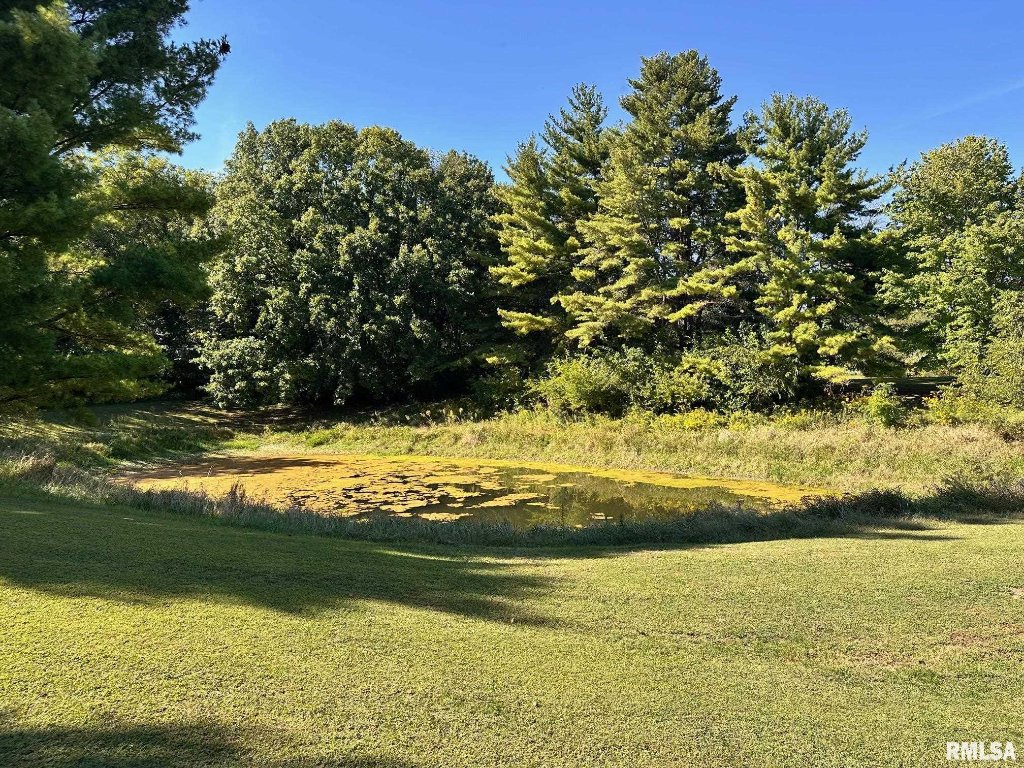 1889 St Pauls Church Road Chapin, IL 62628 - Photo 42 of 44