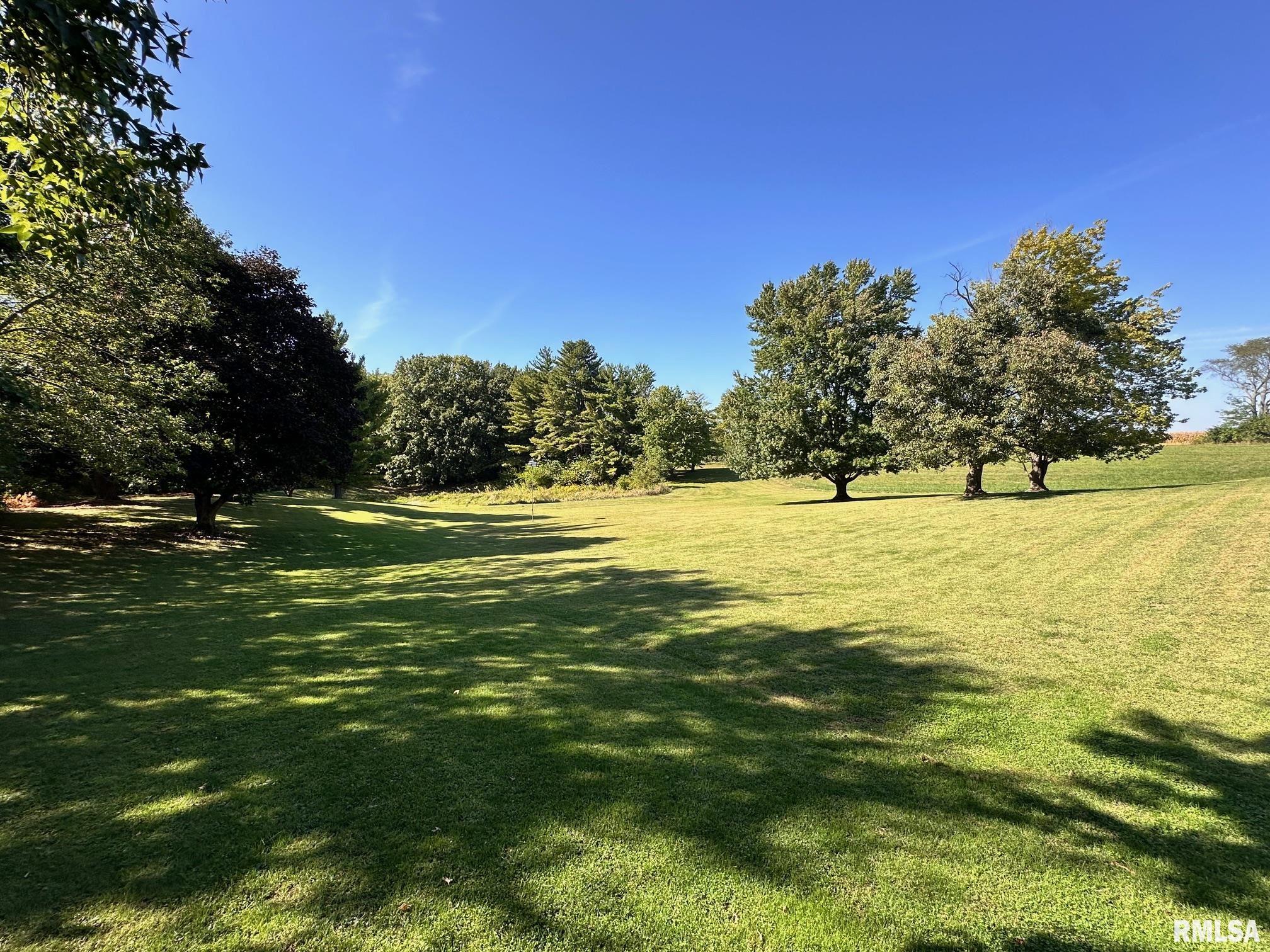 1889 St Pauls Church Road Chapin, IL 62628 - Photo 43 of 44