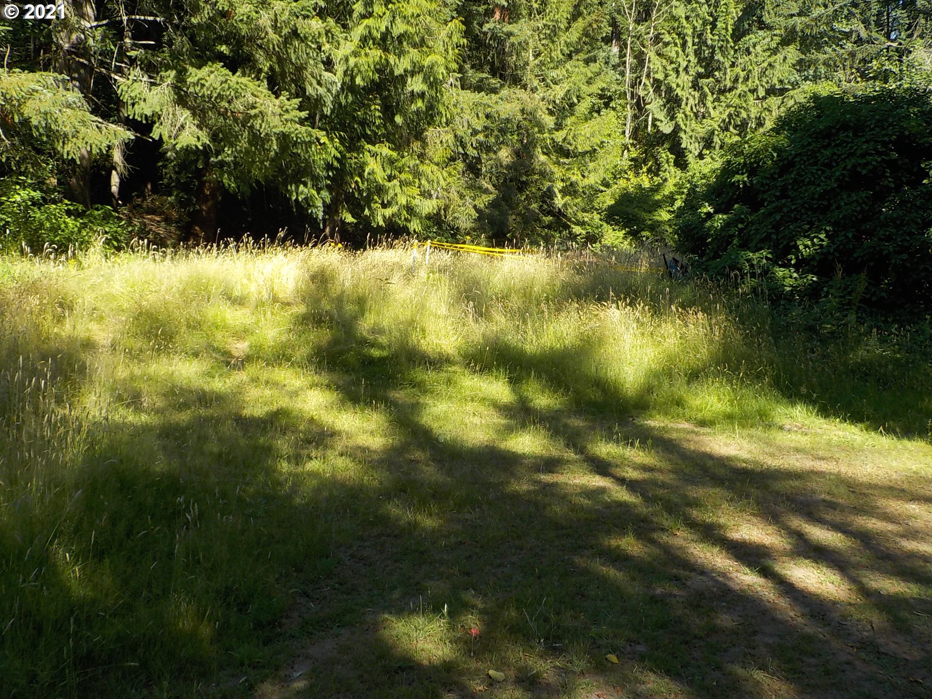 25207 Southeast Sunshine Valley Road Damascus, OR 97089 - Photo 2 of 16 Gallery Image 2