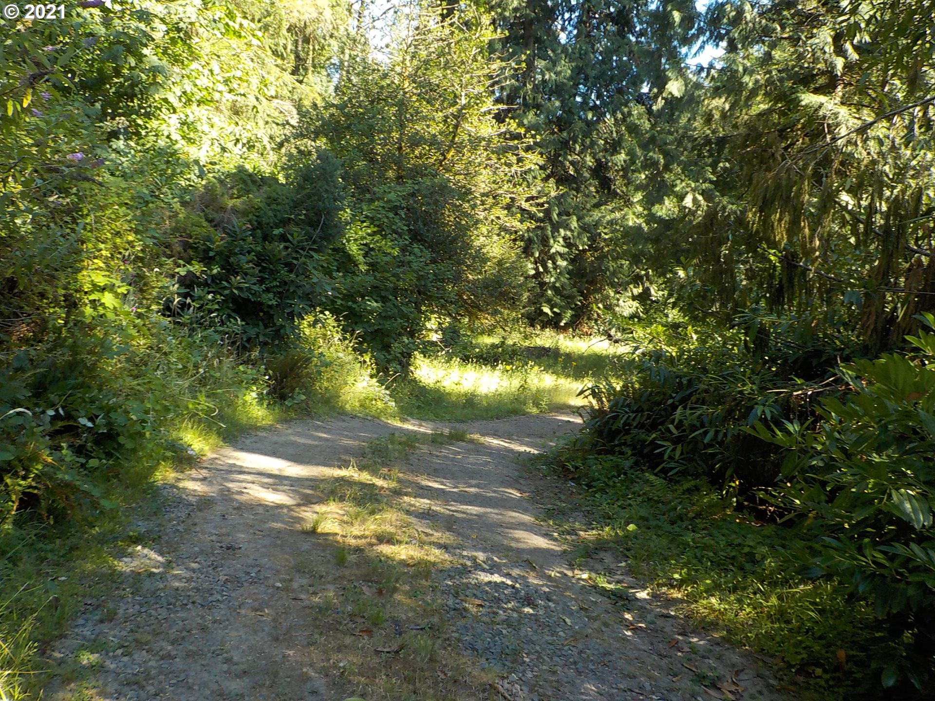 25207 Southeast Sunshine Valley Road Damascus, OR 97089 - Photo 13 of 16 Gallery Image 13