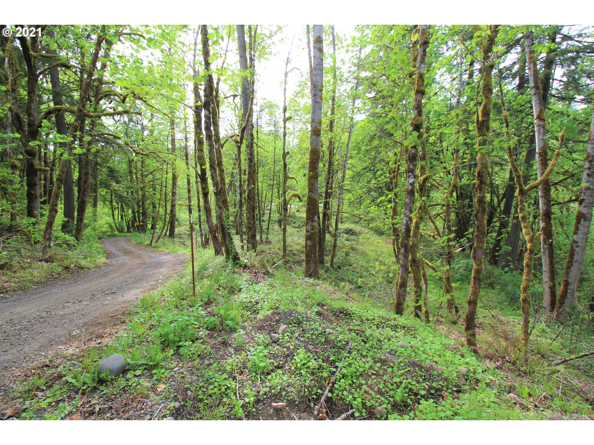 25207 Southeast Sunshine Valley Road Damascus, OR 97089 - Photo 14 of 16 Gallery Image 14