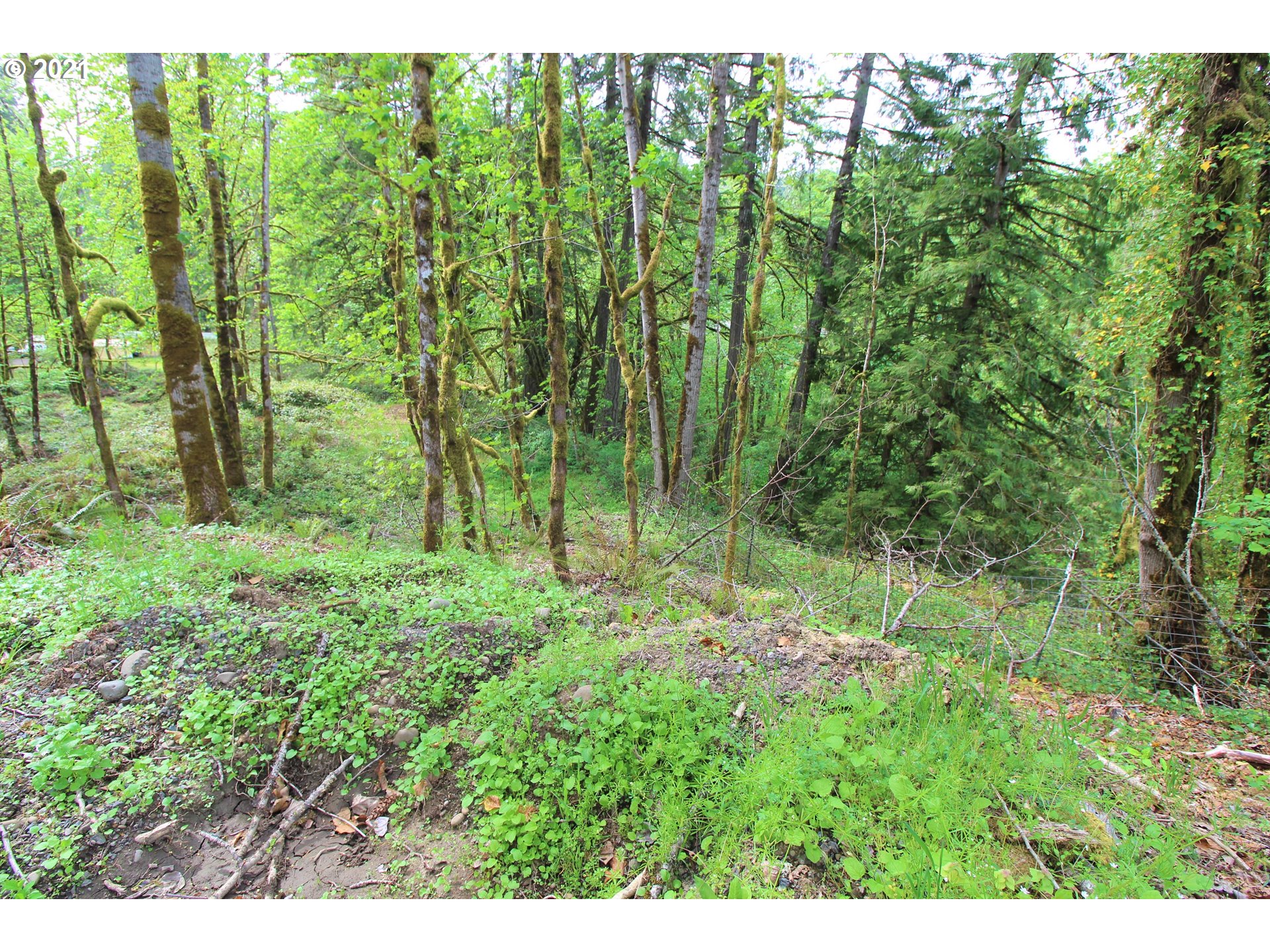25207 Southeast Sunshine Valley Road Damascus, OR 97089 - Photo 15 of 16 Gallery Image 15