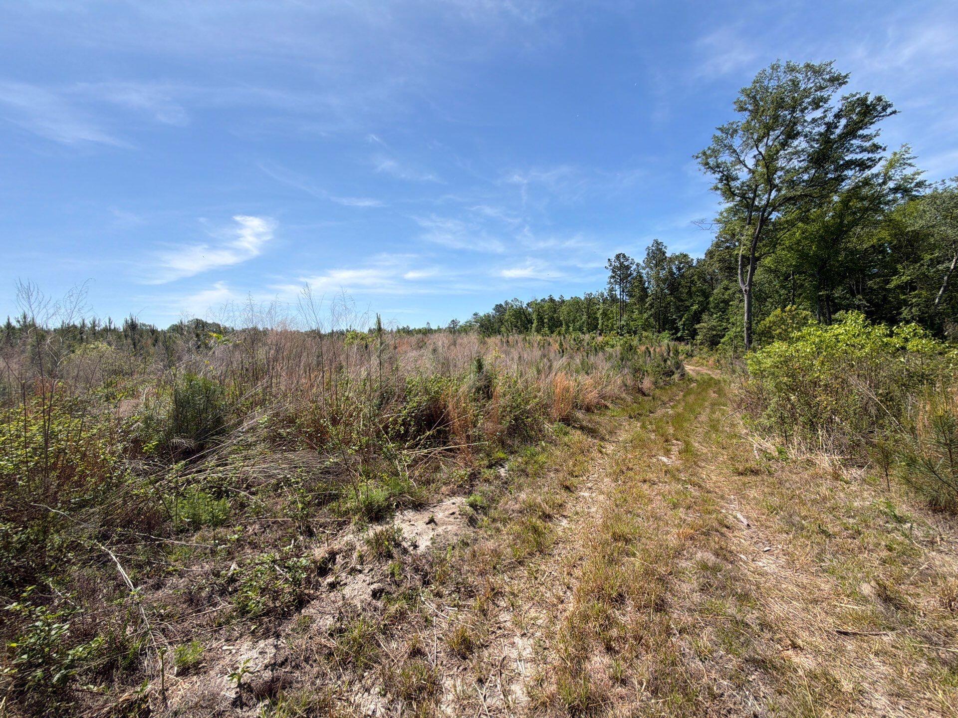 1 Holstein Road, Unit HRF 1 Wagener, SC 29164 - Photo 16 of 39