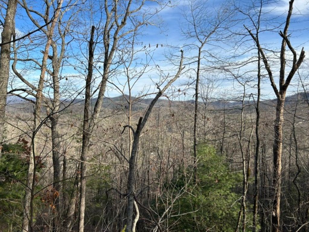 Lot 46 Mission Ridge Hayesville, NC 28904 - Photo 5 of 15