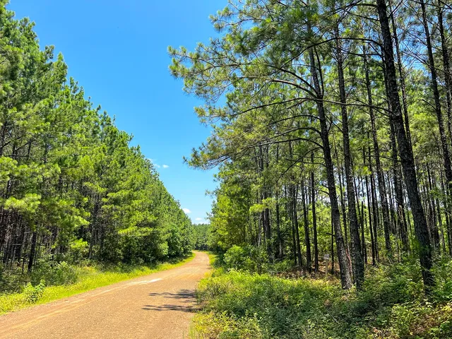 $102,000 | 7 North Bayou Road, Hemphill, TX 75948