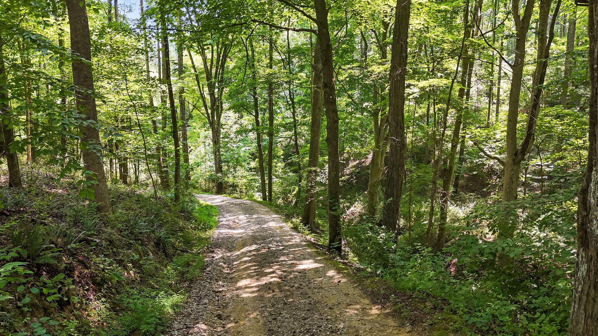 5595 Sheets Road Logan, OH 43138 - Photo 82 of 150 92-web-or-mls-DJI_20260720123125_0809_D