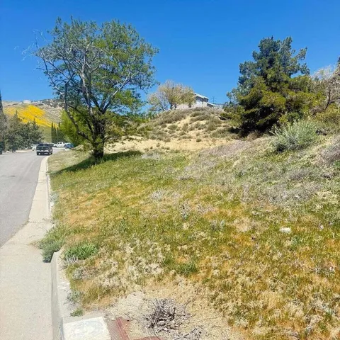 a view of a yard with a tree