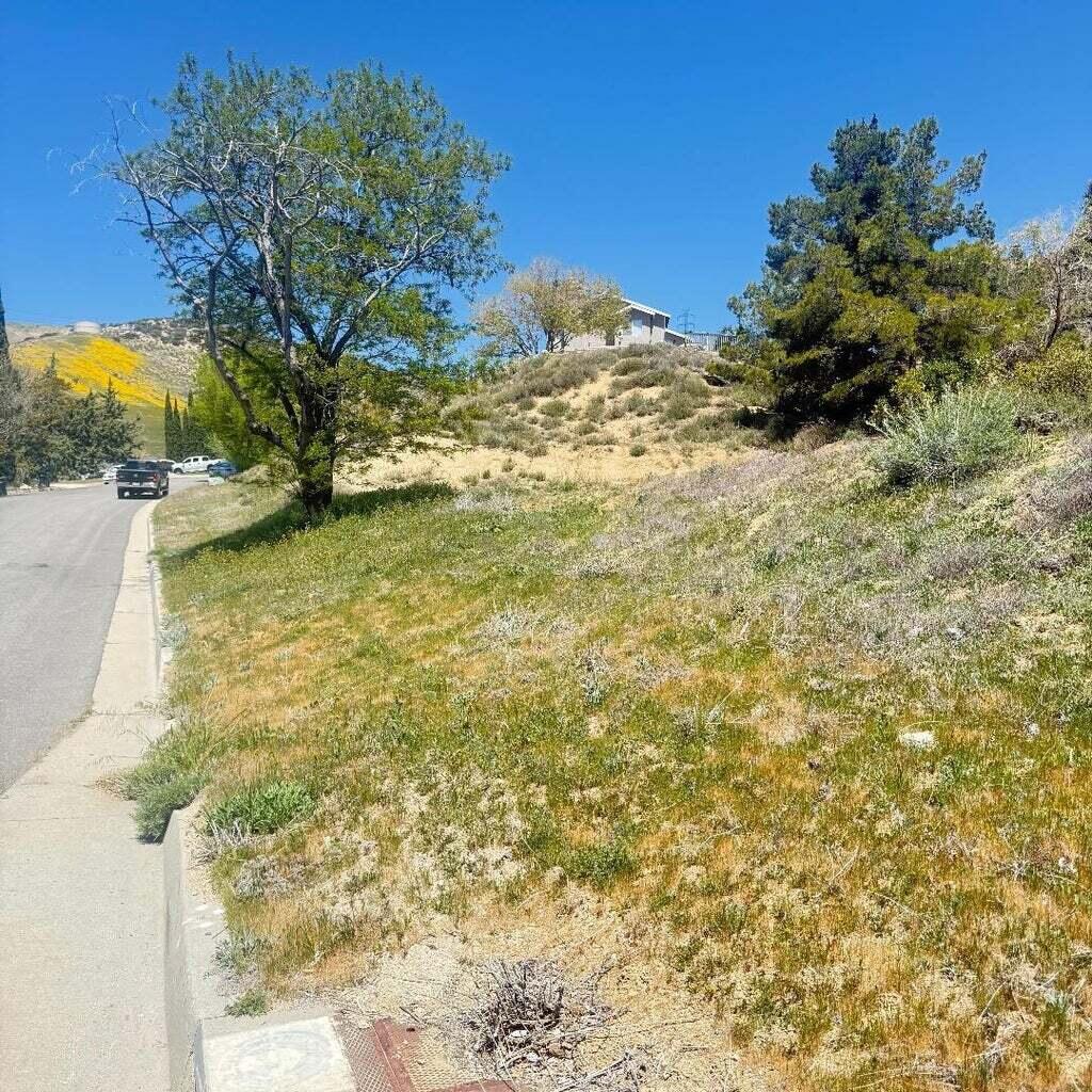 1 Johnson Road Lake Elizabeth, CA 93532 - Photo 2 of 11 a view of a yard with a tree