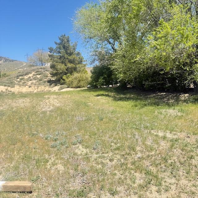 1 Johnson Road Lake Elizabeth, CA 93532 - Photo 3 of 11 a view of a yard