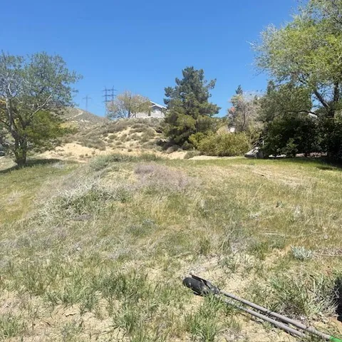 a view of a yard with an trees