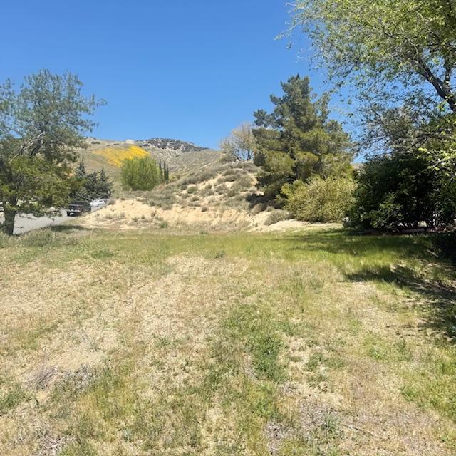 1 Johnson Road Lake Elizabeth, CA 93532 - Photo 7 of 11 a view of an ocean from a yard
