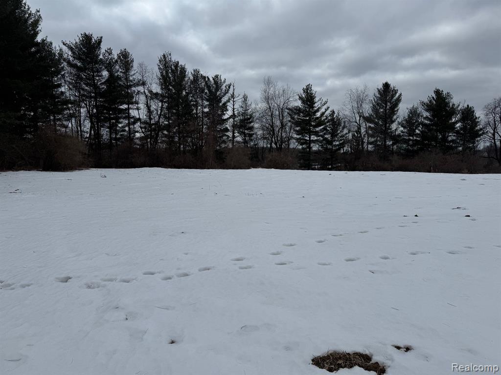 4040 Metamora Ridge Road Oxford, MI 48371 - Photo 3 of 3