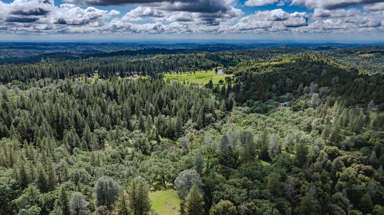 19351 Fiddletown Road Fiddletown, CA 95629 - Photo 37 of 51 a view of a lush green forest with lots of trees