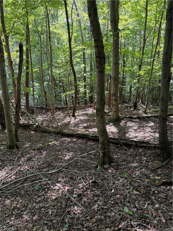 0 McCarther Road Mount Airy, NC 27030 - Photo 13 of 23 Gallery Image 13